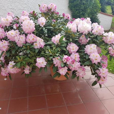 Casa Vittoria Villa Corsanico-Bargecchia Kültér fotó