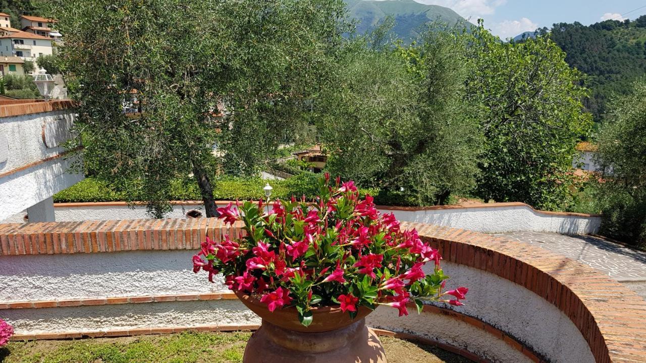 Casa Vittoria Villa Corsanico-Bargecchia Kültér fotó