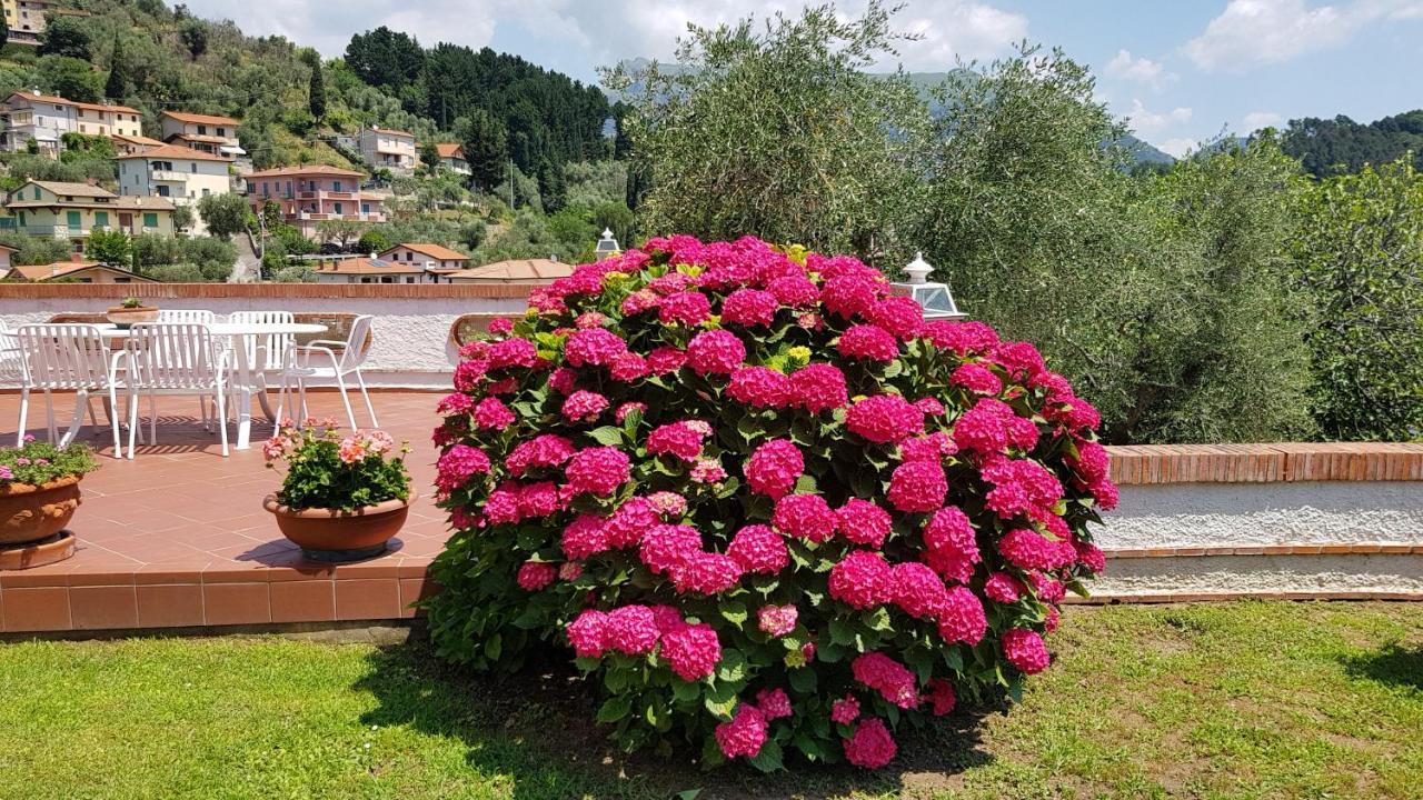 Casa Vittoria Villa Corsanico-Bargecchia Kültér fotó