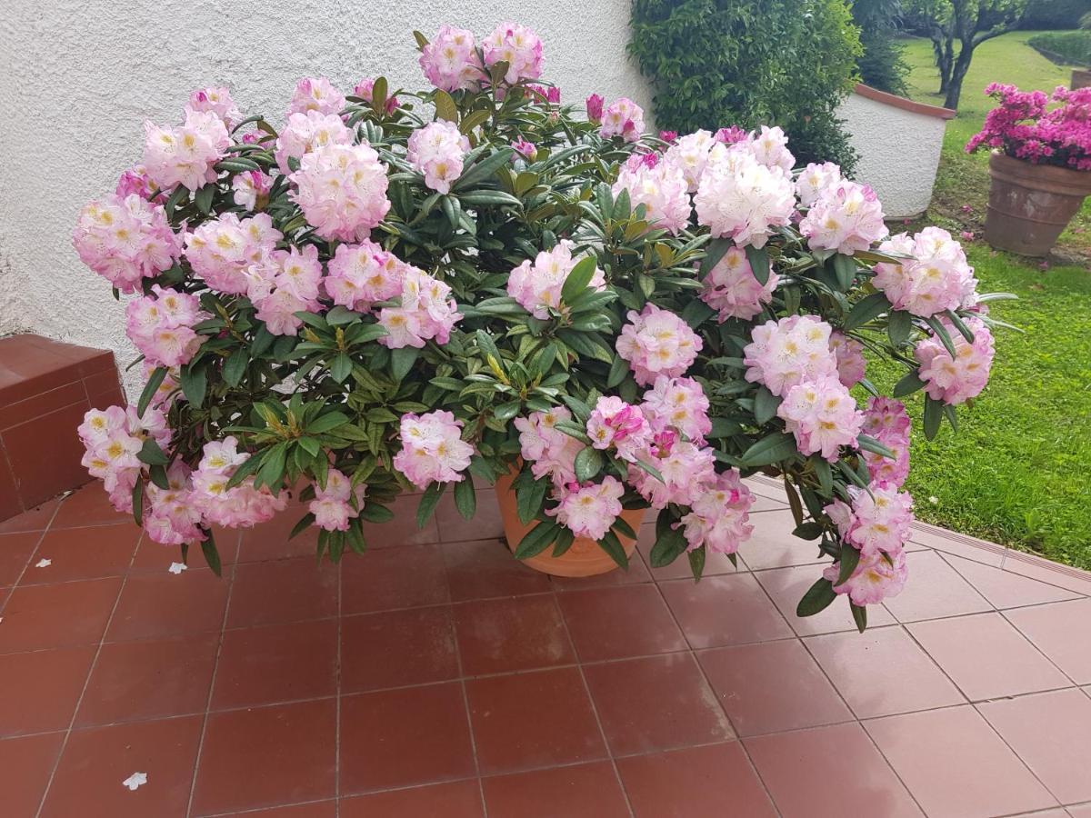 Casa Vittoria Villa Corsanico-Bargecchia Kültér fotó