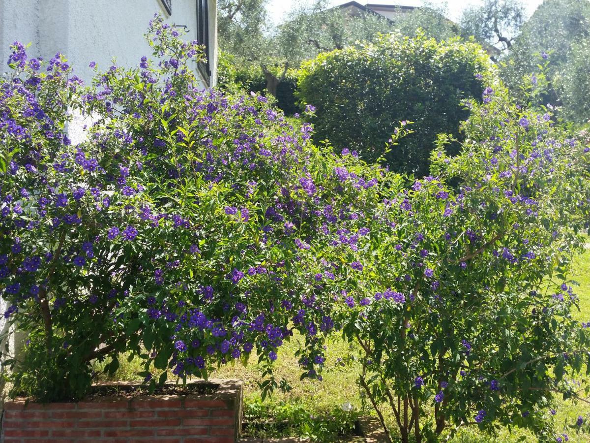 Casa Vittoria Villa Corsanico-Bargecchia Kültér fotó