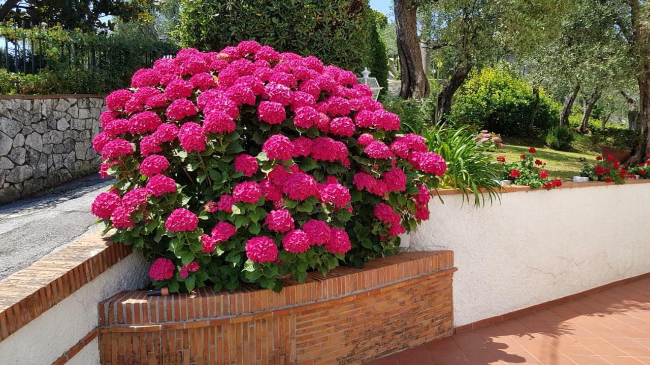 Casa Vittoria Villa Corsanico-Bargecchia Kültér fotó